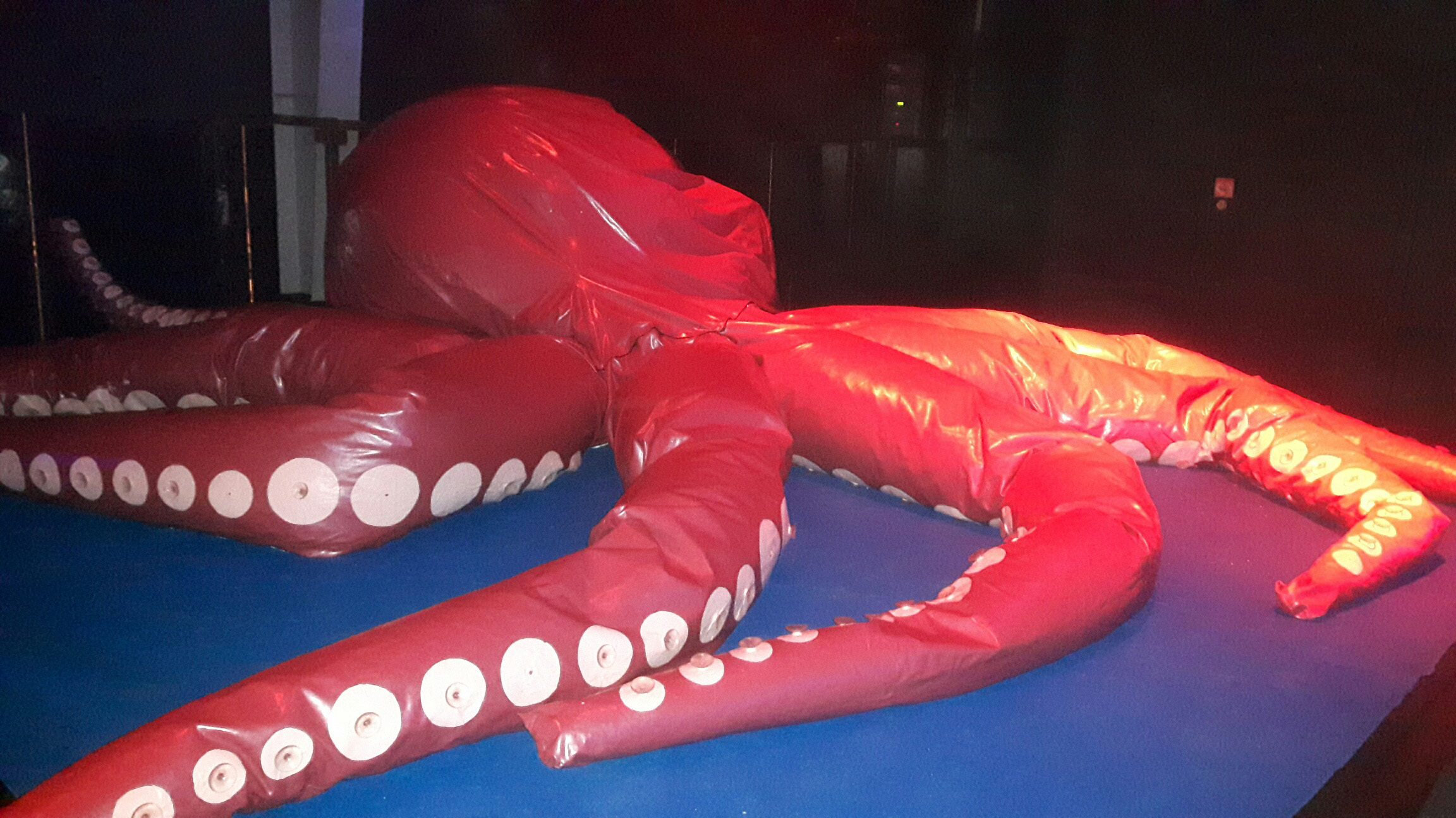 oktopus zitzak